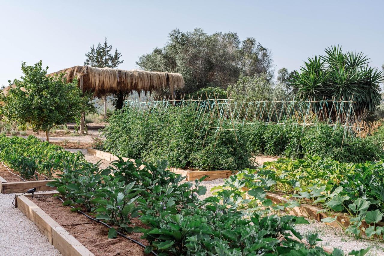 Agroturismo Can Domo Santa Eulària des Riu Extérieur photo